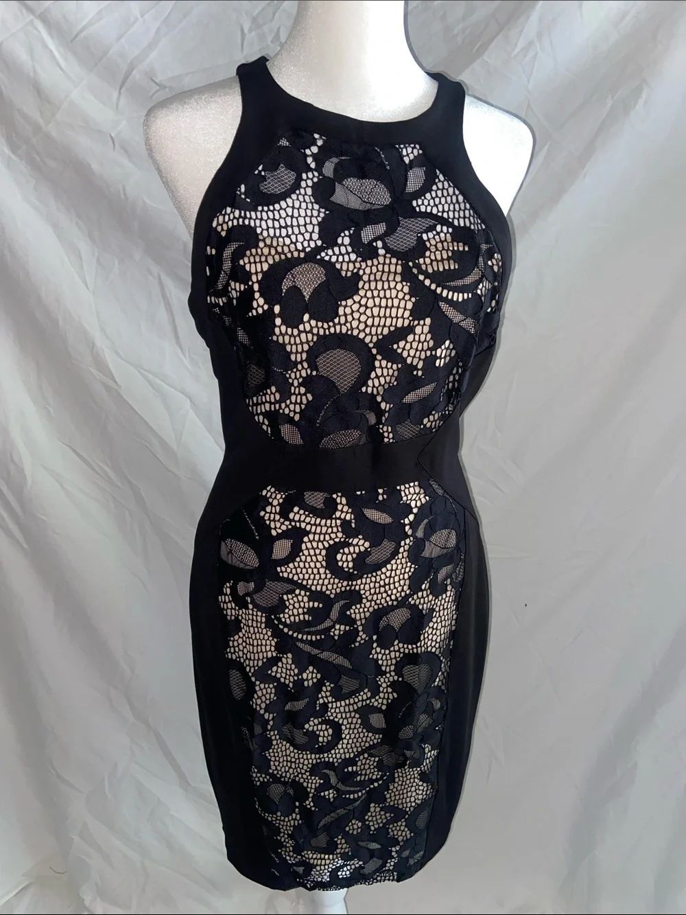 Cache Black Lace Overlay Midi Dress with Nude Underlay